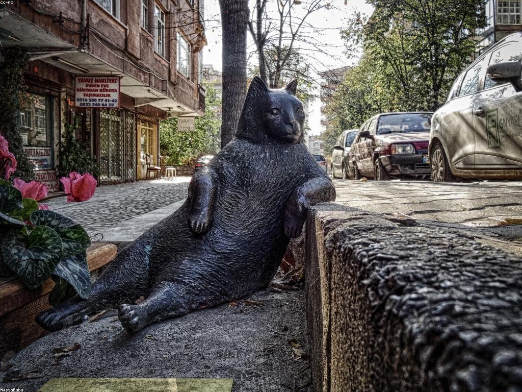 អ្នកដើមចាប់ផ្តើម: យុទ្ធសាស្រ្តសម្រាប់ការចាប់ផ្តើម