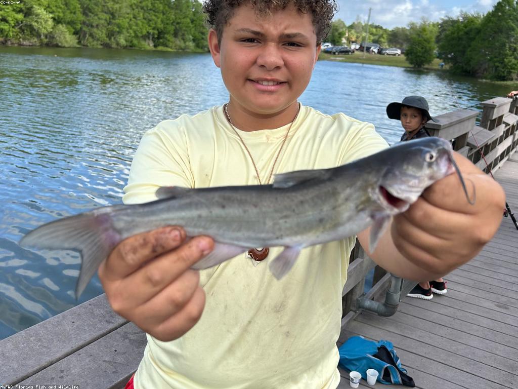 យុទ្ធសាស្ត្រលេងសម្រាប់ការបង្កើតភាពច្នៃប្រឌិត